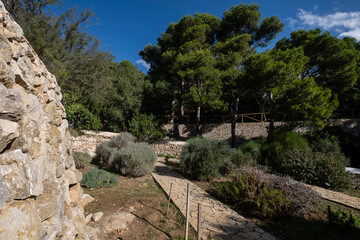Fototapeta na wymiar Mediterranean garden of native plants, Sa Dragonera natural park, Mallorca, Balearic Islands, Spain