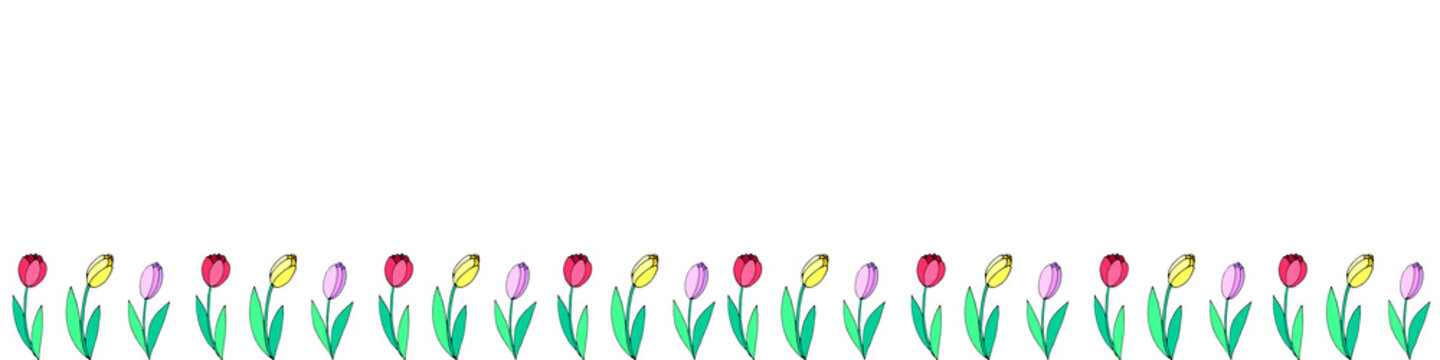 Row of red, pink, yellow tulip flowers. Vector hand drawn spring background isolated. Horizontal bottom edging, border, decoration for greeting card, invitation, Valentine's, Women's or Mother day.
