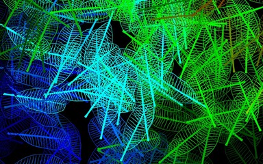 Dark Blue, Green vector natural artwork with flowers, leaves.