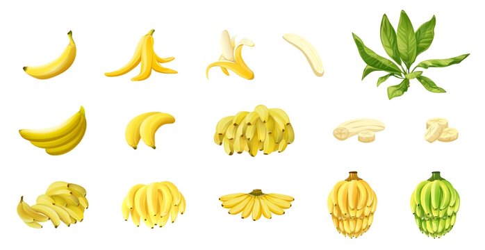 Banana icons set cartoon vector. Monkey peel