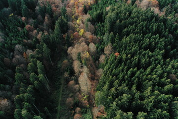 Power of the Autumn Colors