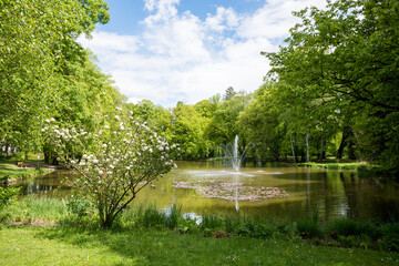 beautiful spa garden Bad Aibling, with blooming viburnum bush and fountain in the pond