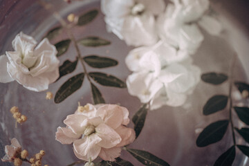 beautiful background of flowers and leaves in a delicate color