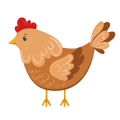 Cute stylized chicken in flat style isolated on white background. Vector drawing of a farm chicken. Chicken, farm, livestock in minimalist style.