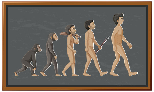Stages of human evolution cartoon character