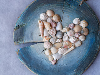 heart of the sea from different shells ...