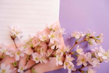 Fototapeta na wymiar Spring greeting concept. Blank card decoration with Cherry blossoms on purple background. Spring, wedding, event background.