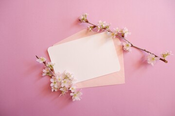 Spring greeting concept. Blank card decoration with Cherry blossoms on pink background. Spring, wedding, event background. 