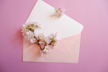 Spring greeting concept. Blank card decoration with Cherry blossoms on pink background. Spring, wedding, event background. 