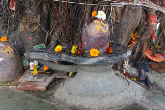 Shiva Lingam under a banyan tree in India. Altar of Lord Shiva in Rishikesh.