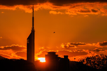 夕日と福岡タワー
