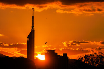 夕日と福岡タワー