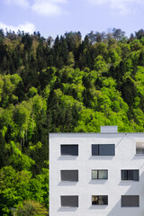 Fototapeta na wymiar Modern Facade in front of Green Forest Hill, Switzerland.