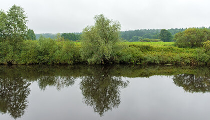 Fototapeta na wymiar Daylight on a river, trees reflection in water. Summer landscape
