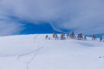 真冬の美ヶ原スノーハイク