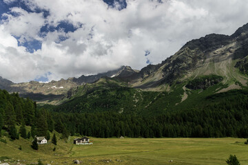 Fototapeta na wymiar Typical Swiss Landscape in Canton of Graubünden, Switzerland.