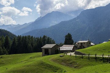 Fototapeta na wymiar Typical Swiss Landscape in Canton of Graubünden, Switzerland.