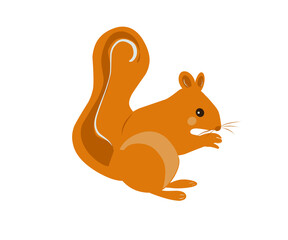 vector squirrel in a flat and cartoon style on a white background. a simple illustration of a red squirrel animal