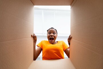 Young Afro lady looking inside parcel box, shouting OMG in excitement, getting online order...