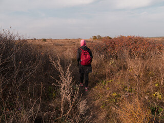 Traveler hiker woman with backpack raincoat walking on hiking trail scenic landscape blue sky. Girl backpacker in pink hood in wild sloe bushes with blue berries. Active healthy lifestyle Solo Travel.