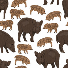 Seamless pattern with Wild boar Sus scrofa. Males, females and piglets of a common wild pig. Realistic vector forest animals