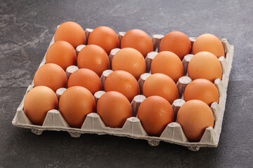 Organic chicken egg in the carton
