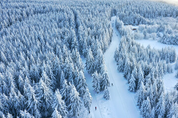 Rennsteig im Winter
