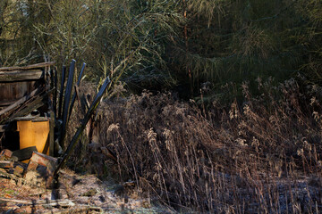 Fragment of a collapsed wooden farm building standing in a meadow under a forest, rural area, landscape.