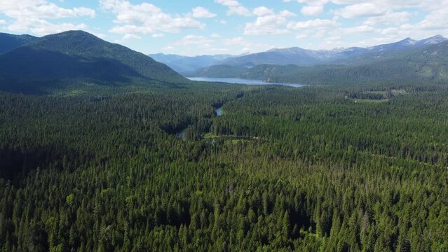 Lush Green Vegetation Near The Priest Lake In Bonner County, Idaho, USA. aerial