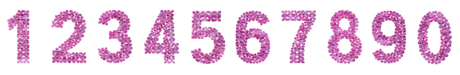 Set of arabic numbers, natural flowers of lilac, isolated on white background