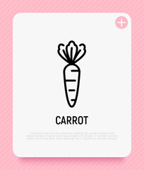 Carrot thin line icon. Healthy organic food. Vector illustration.