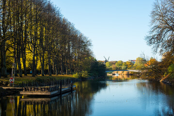 lake in the autumn park 
