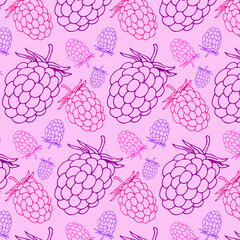 Rasberry seamless pattern, vector background