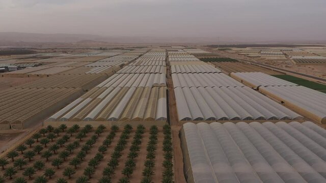 Aerial view of greenhouses and date palm trees in Paran 'moshav', a type of cooperative agricultural community with individual farms found in Israel

