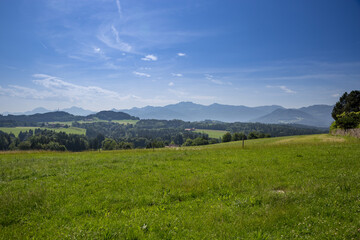 Fototapeta na wymiar Meadow and Forest with Mountain Panorama and the Kampenwand in the Background, Bavaria, Germany