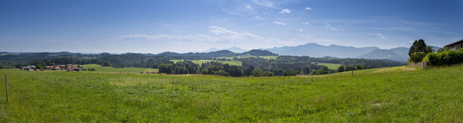 Fototapeta na wymiar Meadow and Forest with Mountain Panorama and the Kampenwand in the Background, Bavaria, Germany