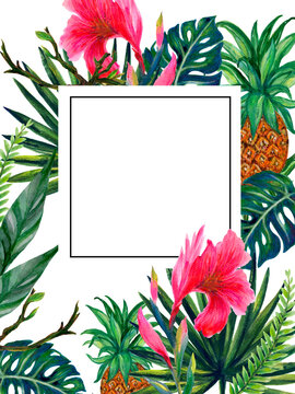 Tropical Forest Blooming Trees Jungle with Exotic leaf palm monstera canna lily pink pineapple layout label