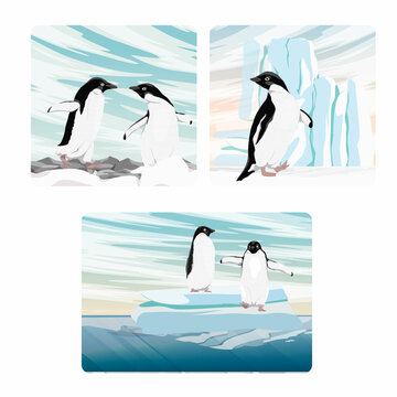 Set of compositions with Adélie penguin. Birds of the South Pole. Realistic vector landscape