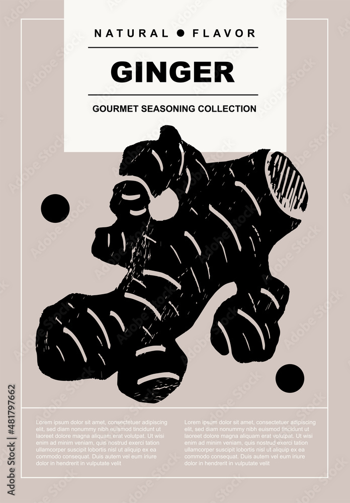 Wall mural Ginger. Set of posters of spices, herbs, organic product in a abstract draw design. Label or poster for food preparing and culinary. Simple, flat design. For poster, cover, banner.