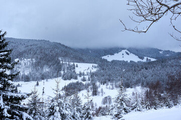 panorama winter landscape feldberg black forest germany