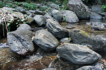 Fototapeta na wymiar Huge rocks along a small stream in a tropical forest.