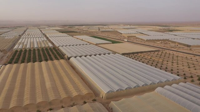 Drone flight of greenhouses and date palm trees in Paran 'moshav', a type of cooperative agricultural community with individual farms found in Israel
