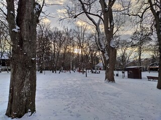 Apus  de soare in parcul din   Bistrita,Romania in januarie 2022
