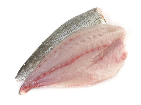 Grey Gilthead Seabream Fillet isolated on white Background
