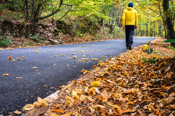 Obraz premium person walking in park