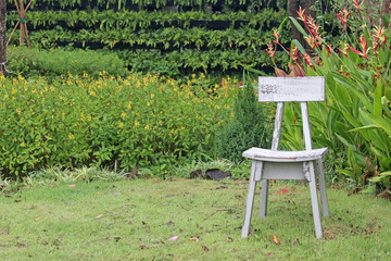 Single empty rustic white painted wooden chair on a lawn in a tropical garden. No people.