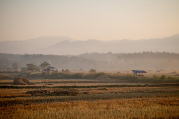 Obraz premium beautiful background images.