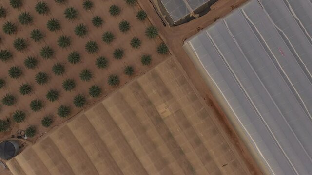 Looking down at greenhouses and date palm plantation inside cooperative farming community in the Negev, Israel
