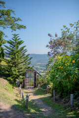 beautiful background images.