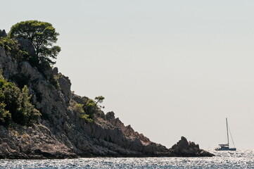 Naklejka premium Sailing boat passing the cap with pine trees in Adriatic sea